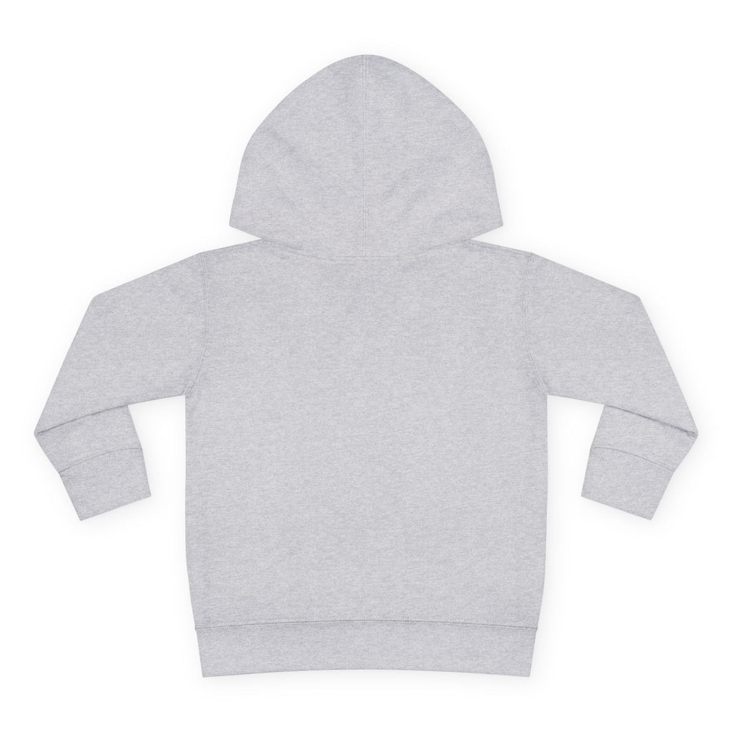 Toddler Pullover Fleece Hoodie Plaid 2 - IAKAM