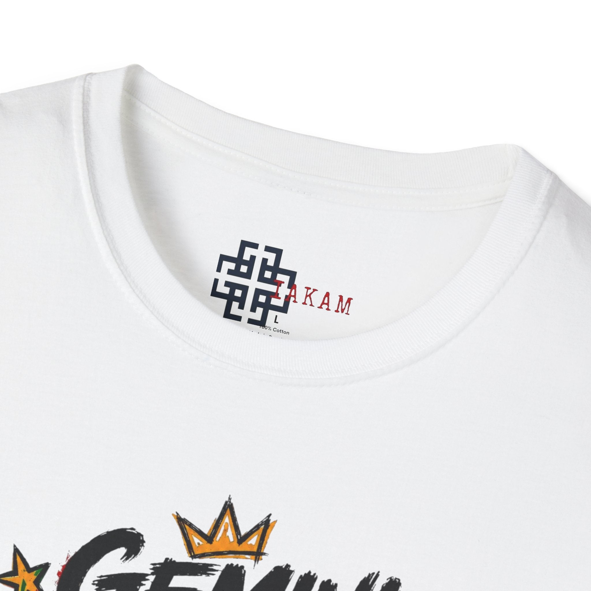 Gemini Zodiac T-Shirt - Gemini Season Graphic Tee for Trendsetters