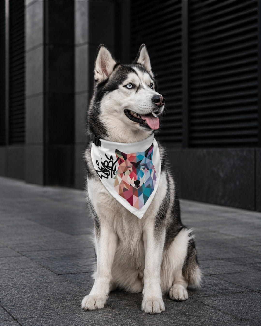 Vibes Pet Bandana