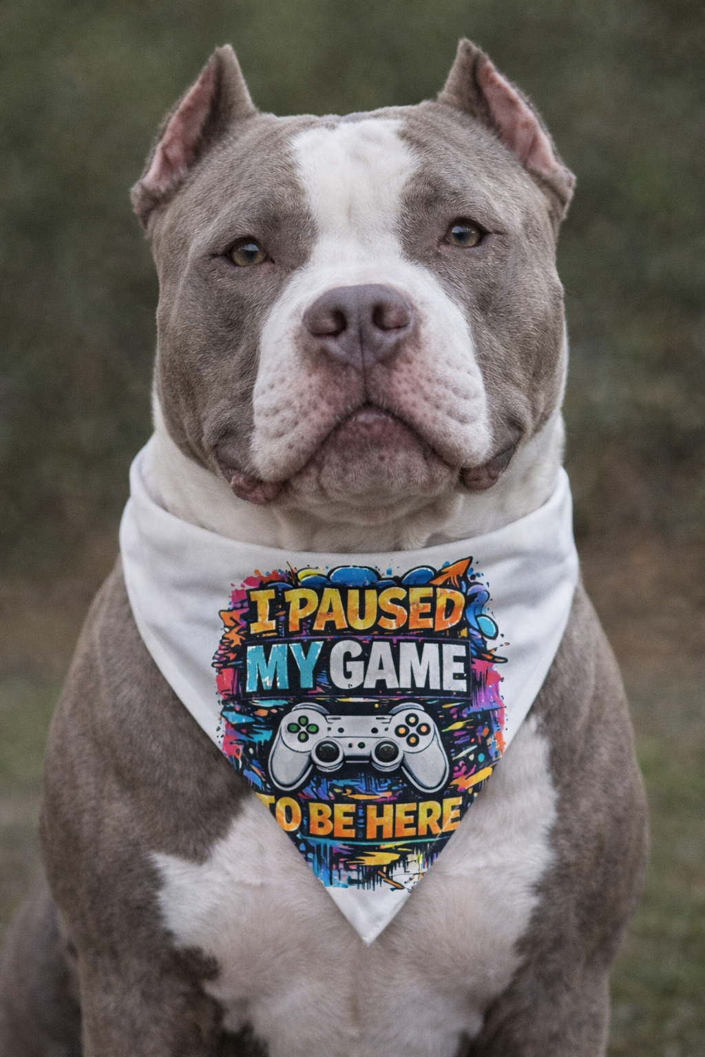 I paused my game Pet Bandana