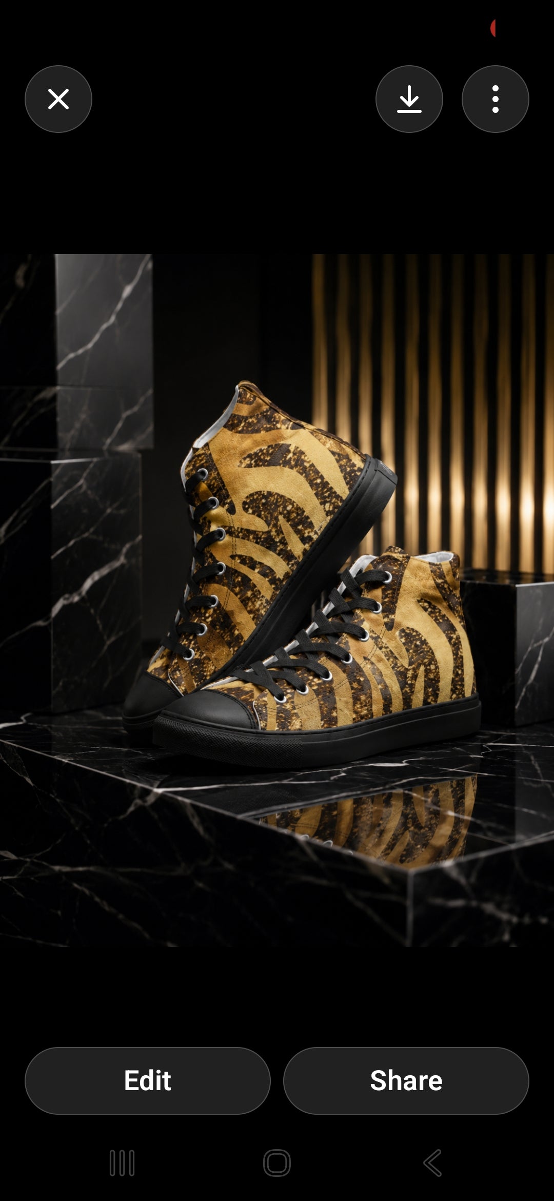 Golden Taz Women's Hightop Canvas Shoe - Black