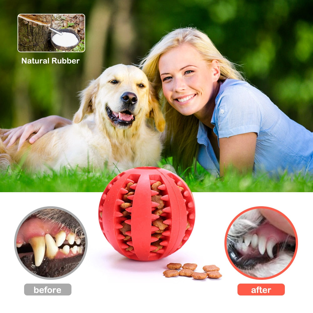 Pet Dog Toy Interactive Rubber Balls for Small Large Dogs Puppy Cat Chewing Toys Pet Tooth Cleaning Indestructible Dog Food Ball - IAKAM