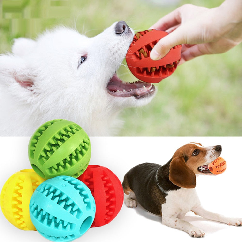 Pet Dog Toy Interactive Rubber Balls for Small Large Dogs Puppy Cat Chewing Toys Pet Tooth Cleaning Indestructible Dog Food Ball - IAKAM